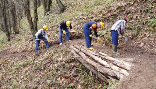 Operai forestali al lavoro